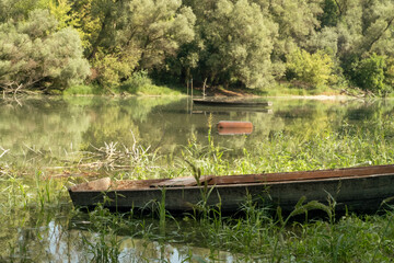Fototapeta na wymiar The sunny day on the picturesque banks of the Danube river in Šodroš - a beautiful countryside landscape with reed, reflection on water mirror, pier and small fishing boat
