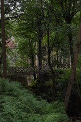 Obraz premium a bridge over the valley at hafod estate