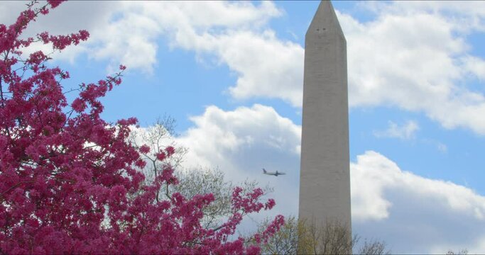 Plane takes off behind majestic Washington DC obelisk under spring blue sky