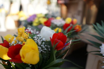 red and yellow tulips