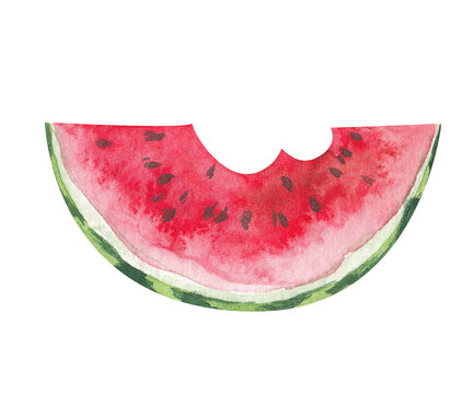 watercolor watermelon. watermelon slices with seeds