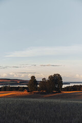 Fototapeta premium Abandoned homestead in a field by Lake Mjøsa of late summer.