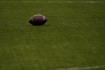 Ball for american football on green grass