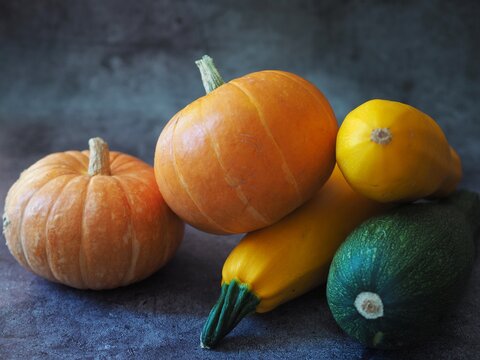 Pumpkin and zucchini on dark background 