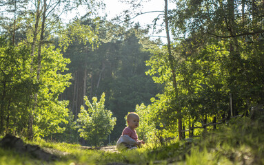 Naklejka na ściany i meble Child sitting in a forest 