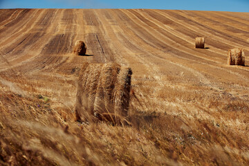 Hay bales on a countryside agricultural field.