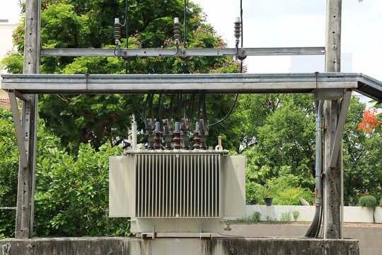 A transformer on a concrete pole with big tree background. Object, technology and industrial concept.
