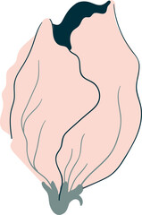 Garden and wild flowers and plants, botanical illustration in boho style for decoration of weddings and celebrations