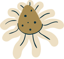 Garden and wild flowers and plants, botanical illustration in boho style for decoration of weddings and celebrations