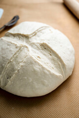 Fresh raw sourdough bread dough, baking homemade healthy bread.