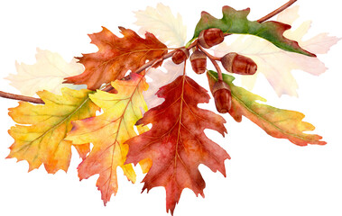 Watercolor leaves and branches in the autumn season