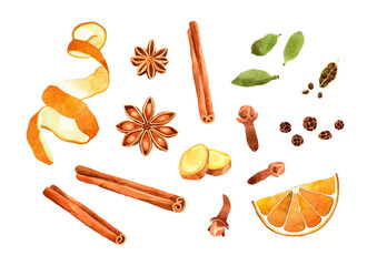 Watercolor Mulled wine ingredients illustration. Hand drawn cinnamon, anise, ginger, cloves, black pepper, cardamon and orange isolated on transparent background. Spices raw material 
