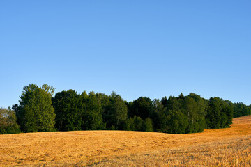 Obraz premium Image from the cultural landscape by Riselva Valley, Toten, Norway, a summer evening in August.