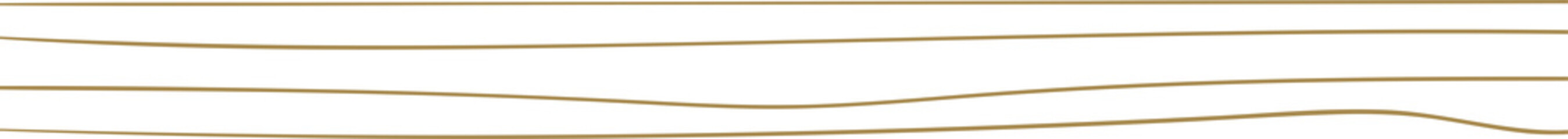 Shapes and geometric abstraction and decorative line art elements in boho style with plants