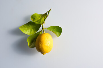 Yellow lemon very appealing with green juicy leaf. White background isolated illustration of a fruit.