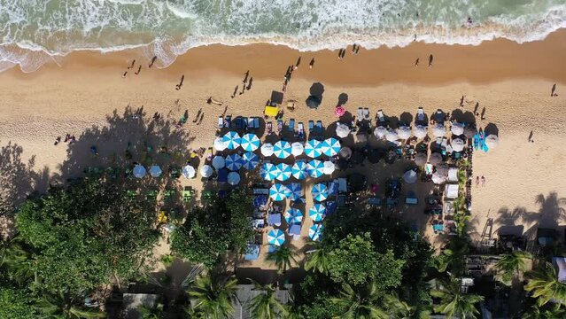 
Vista a&eacute;rea tropical costeira. Cena da vida na praia. Vista panor&acirc;mica da paradis&iacute;aca praia de Trancoso, Bahia. Estilo de vida de praia tropical. Estilo de vida de viagens de ver&atilde;o. praia tropical