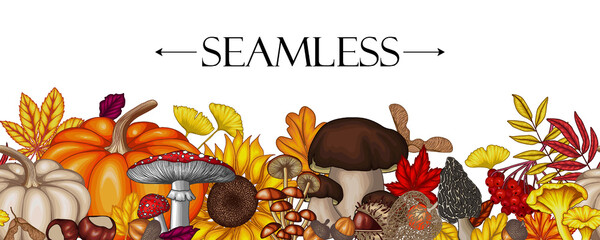 Seamless horizontal vector autumn pattern. Maple leaf, chestnut, rowan, fallen leaves, acorns, physalis, maple seeds, sunflower, pumpkin, ginkgo, fly agaric, chanterelles, porcini mushroom, mushrooms © Viktoriia Holovko