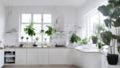Fototapeta na wymiar Modern kitchen interior. Blurred background. 