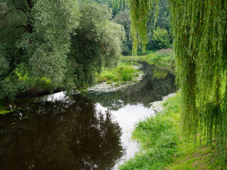 picturesque place by a small river with green trees above the water