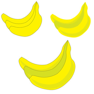 Banana Illustration design