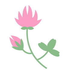 Red clover sprig. Beautiful wildflower in flat style.