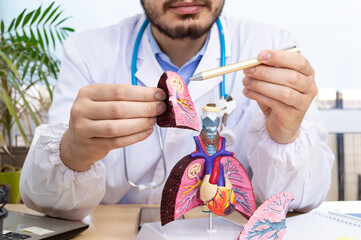 Male doctor looks anatomical model lung in clinic room. Working as doctor during pandemic covid 19...