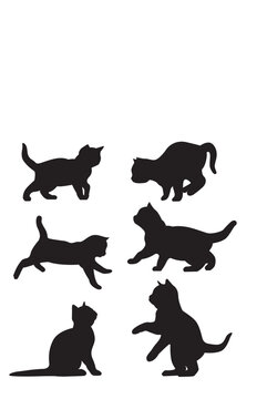 cat silhouette kitten vector