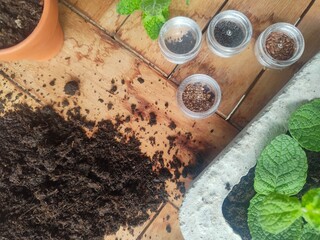 Zbiór nasion roślin, wysiewanie do gleby
