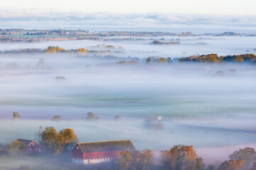 Rural view a misty morning in autumn