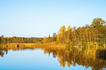 calm water surface by a lake with autumn colors