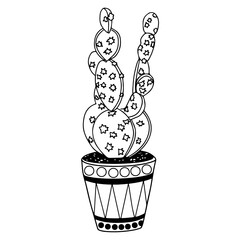 Vector image of a cactus in a pot with decor in black on a white