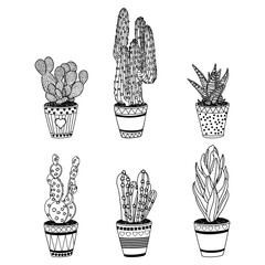 Vector set of six images of home flowers in pots in black on a white