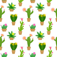 Seamless pattern with  blooming cacti in pots. Vector color illustration on the white background.