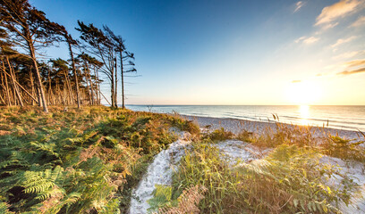 Fototapety na wymiar - Fototapeta24.pl