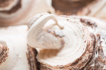 Frozen Bianco-nero flavour gelato - full frame detail. Close up of a white surface texture of Ice cream hills with brown chocolate.