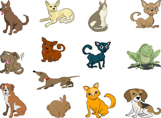 Obraz premium cute pets