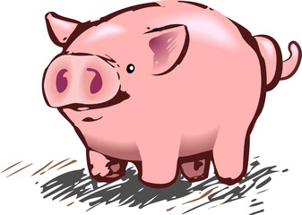 pig illustration