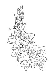 Flower corner. Element for coloring page. Cartoon style.