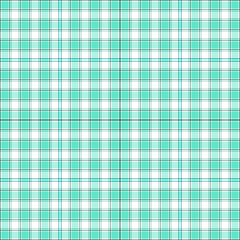 Green Gingham, Rhombus, Buffalo Lumberjack, bavarian plaid tartan line pattern. Vector flannel,  
Flanel Luxury scottish cage style check weaving hlbt lgbt lhbt or farmer.