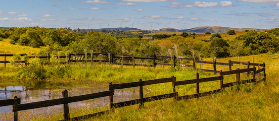 Meadow landscape scene