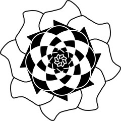 Fototapeta premium element mandala 