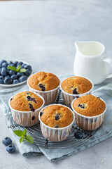  Blueberry muffins