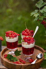 berries jelly and cream dessert