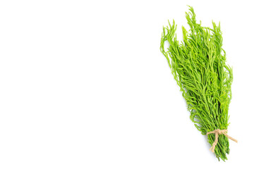 Fresh acacia pennata (cha-om) isolated on white background, A peak leaves green acacia pennata (cha-om)