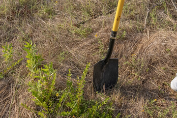 the girl drips the earth with a shovel with a yellow stalk on the background of grass. Close-up of a girl dripping holes in the ground with a shovel. Drip the vegetable garden.