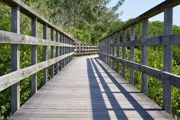 Wood deck path in Shimajiri mangrove forest that continues straight ahead