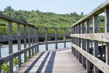 Fototapeta na wymiar Wood deck path through Shimajiri mangrove forest