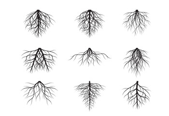 A set of black Tree Roots. Vector outline Illustration. Plant and Garden.
