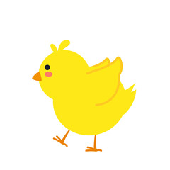 small baby bird emergence from egg, cracked shell in laying hens nest,Chicken hatching stages. Newborn little cute chick,Easter chicks concept.