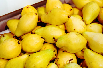 Yellow pear fruits on the counter in the store. Fruit trade in a retail network. Close-up